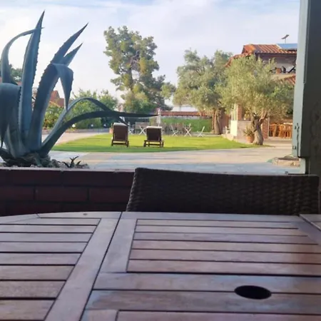 Makis Nest 沃尔沃罗