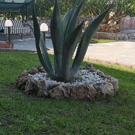 Makis Nest מלון דירות 3*