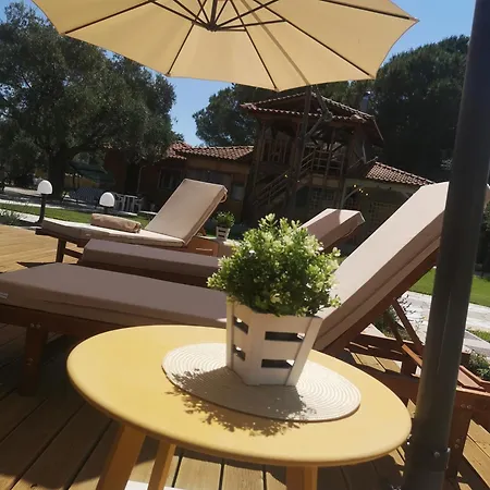 Makis Nest Aparthotel Vourvourou